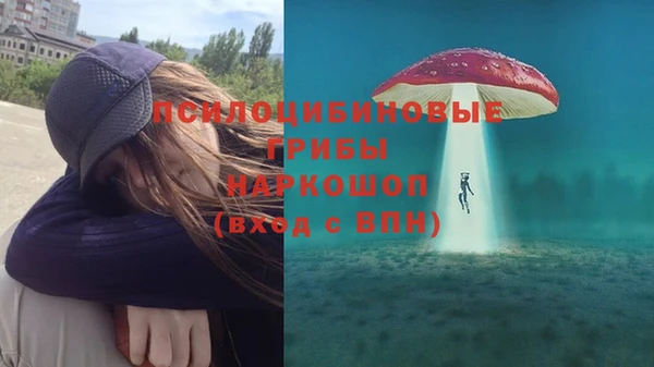 скорость Новодвинск