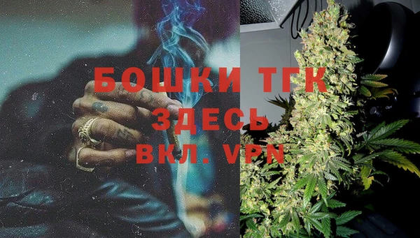 стаф Новозыбков